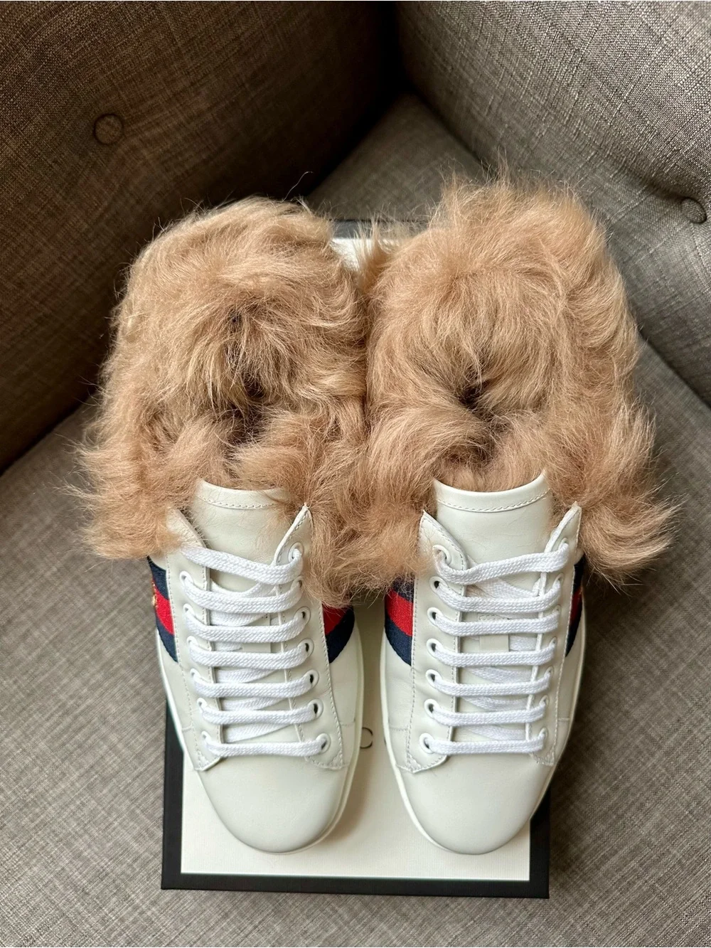 Gucci Ace White Leather Fur-Lined Sneakers with Red and Blue Stripe